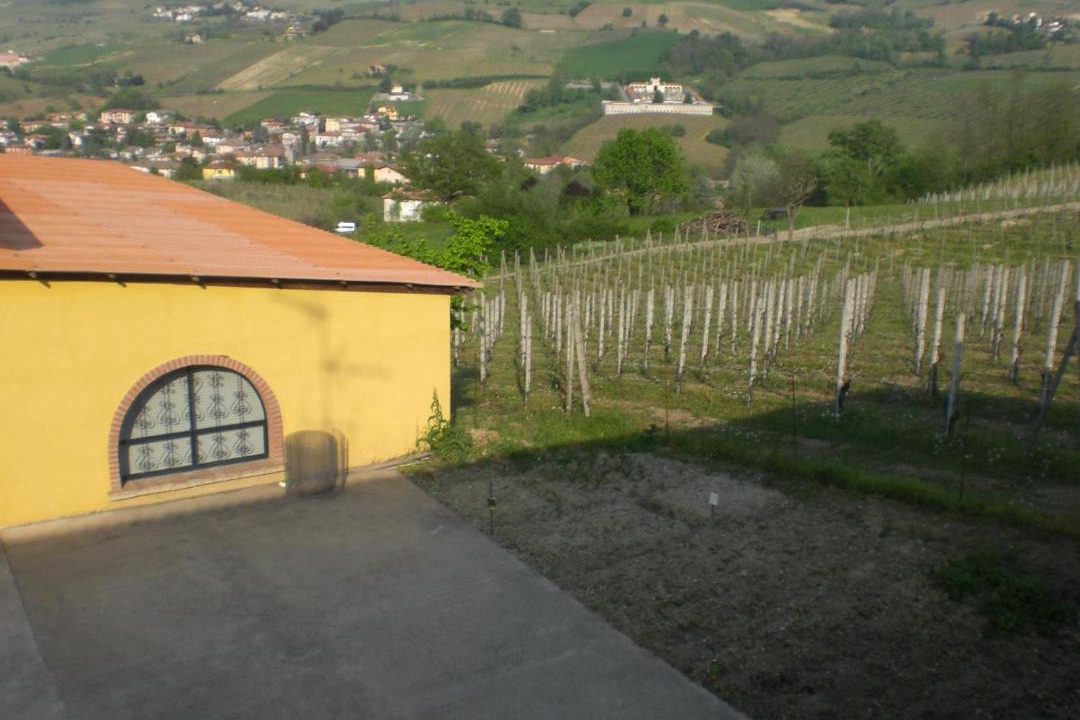 Photo of Others in Montecalvo Versiggia