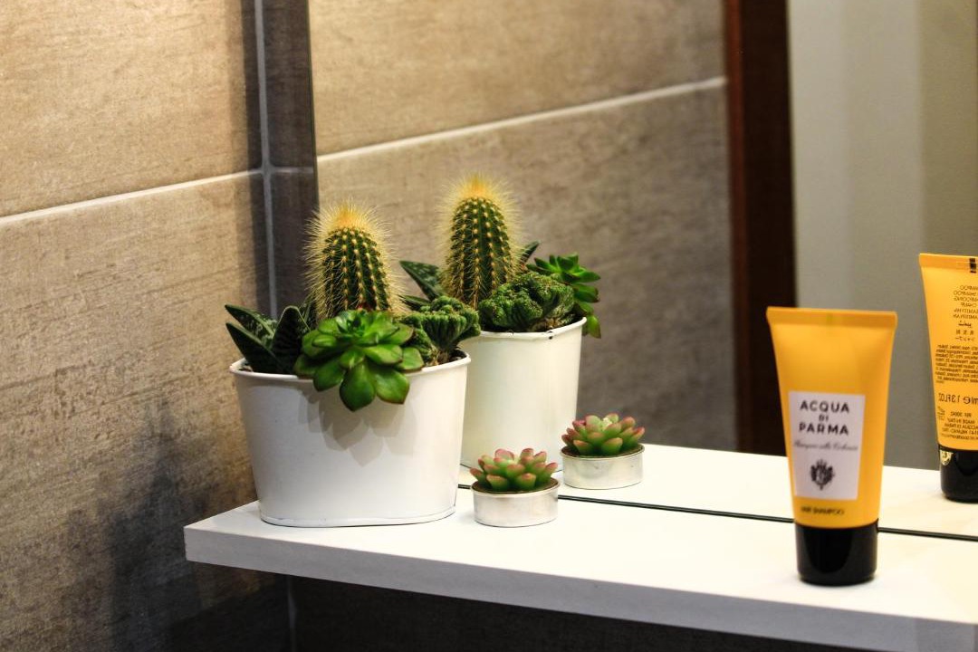 Photo of Bathroom in Alme