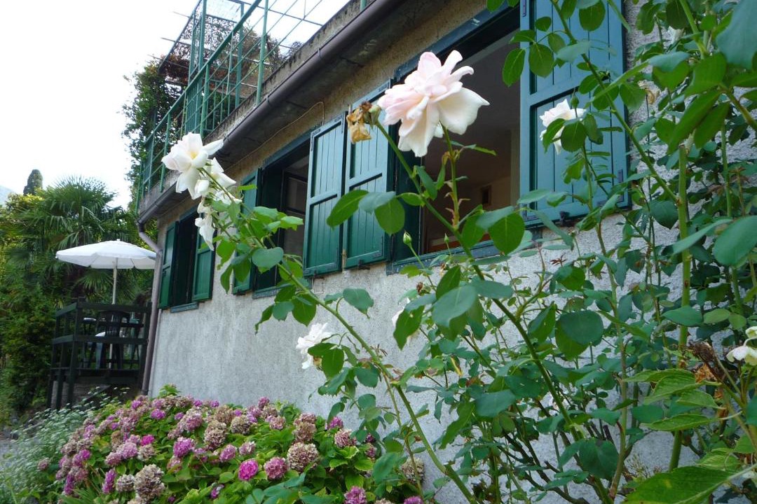 Photo of Others in Moltrasio