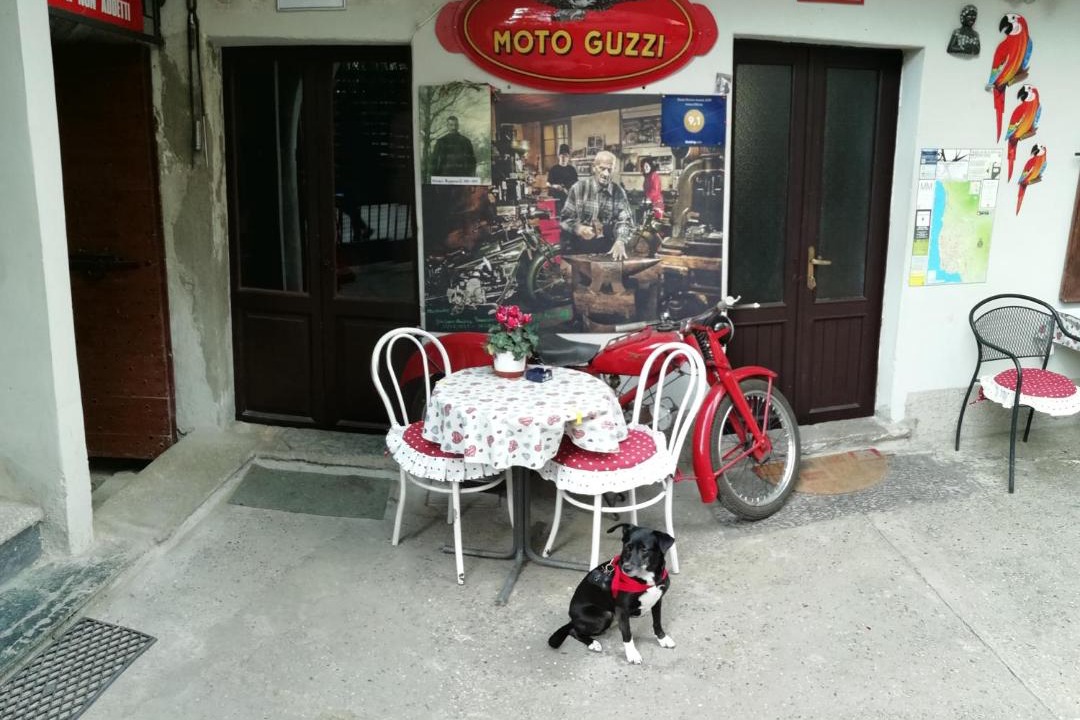 Photo of Others in Mandello del Lario