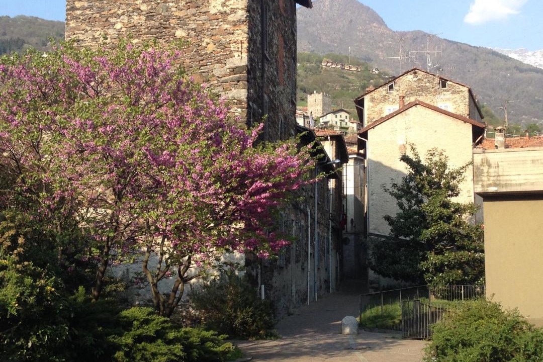 Photo of Others in Dervio