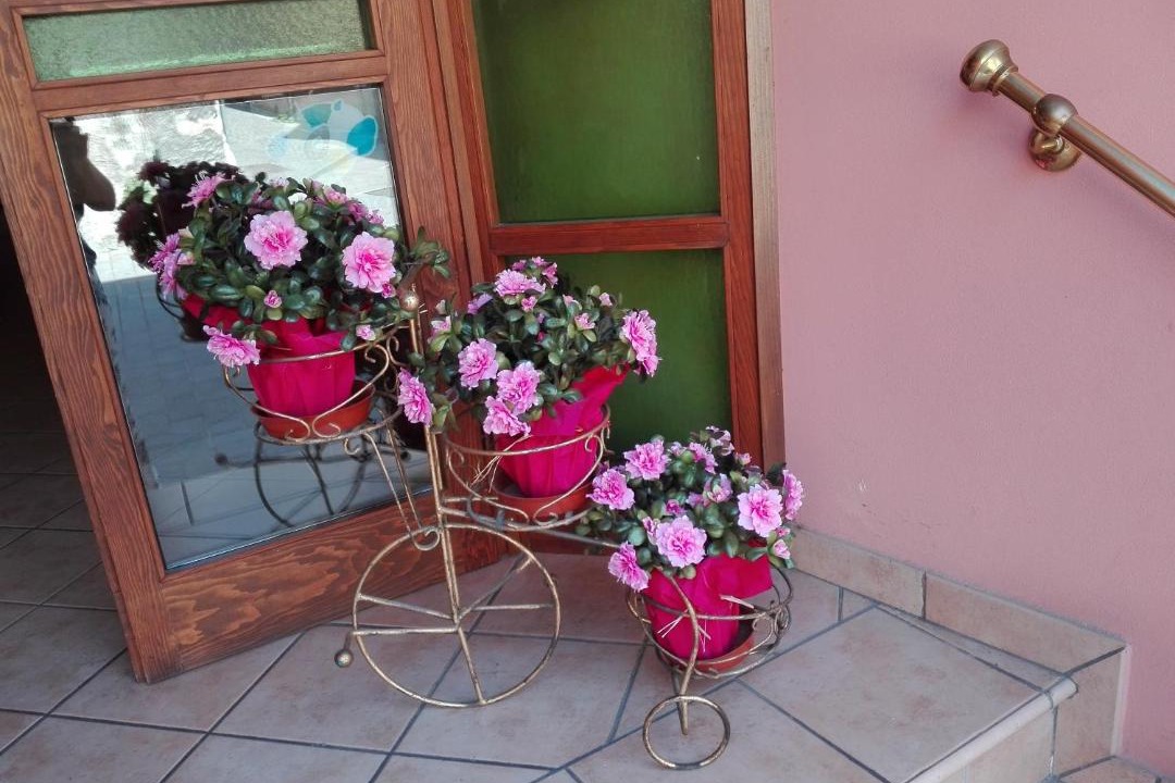 Photo of Others in Toscolano Maderno