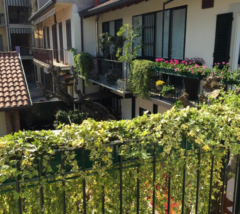 Photo of Others in Cesano Maderno
