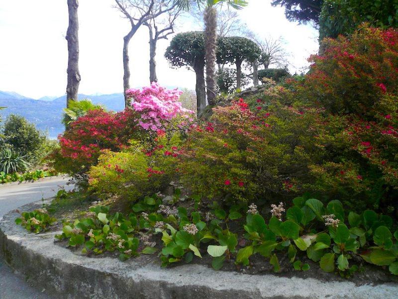 Photo of Outdoor in Luogo Ameno
