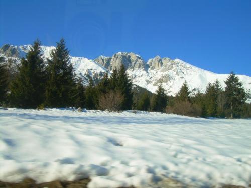 Photo of Others in Castione della Presolana