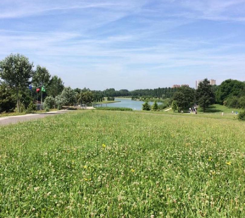 Photo of Outdoor in Niguarda