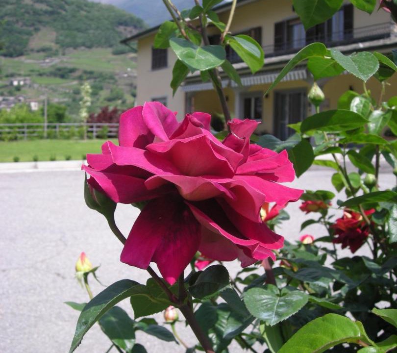 Photo of Others in Teglio