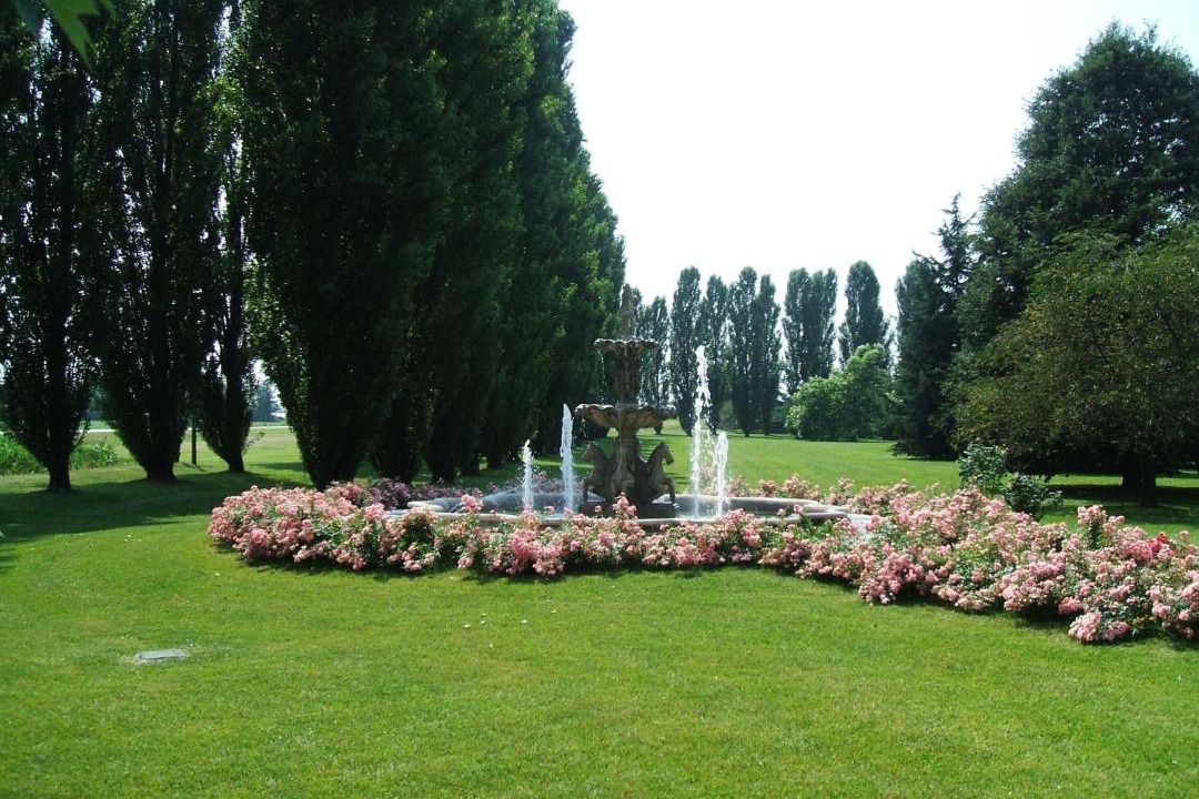 Photo of Others in Misano di Gera d'Adda