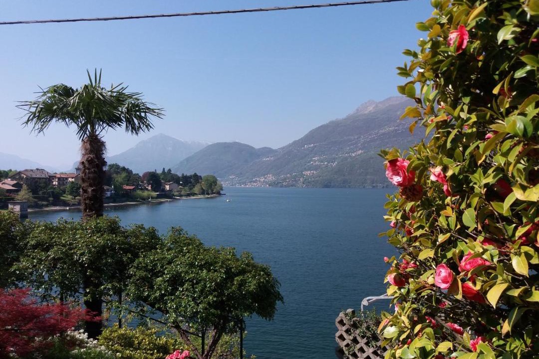 Photo of Others in Dervio