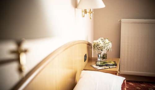 Double or Twin Room