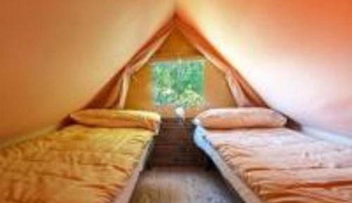 Tent Split Level with Shared Bathroom